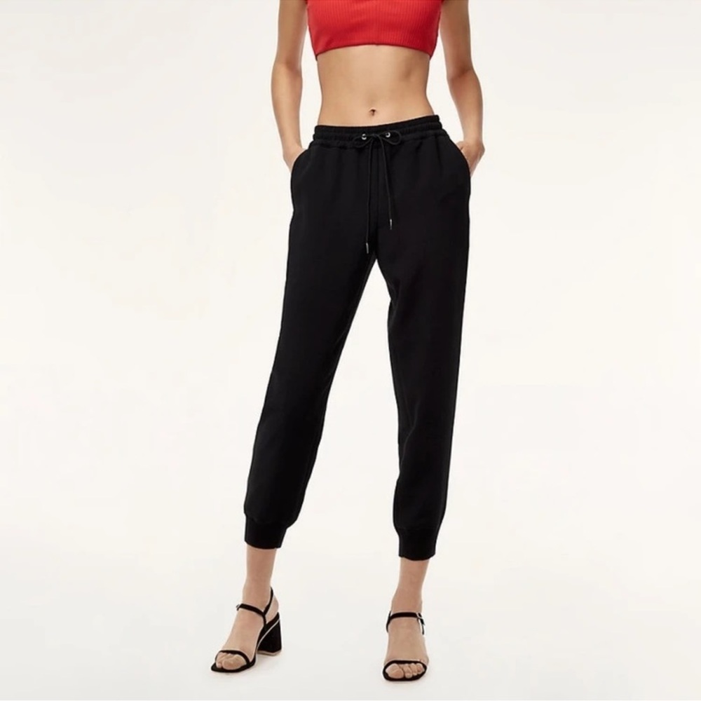 Wilfred By Aritzia Buffon Crepe Jogger Pants